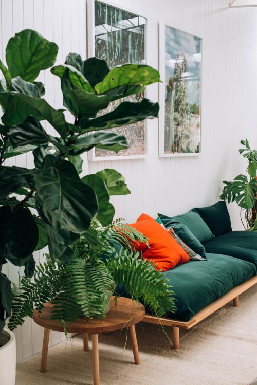 accentkleur groen