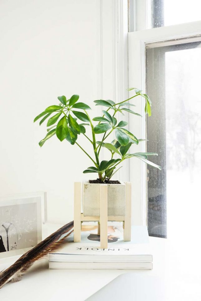 Betonbak met plantenstandaard maken Betonbak met plantenstandaard maken