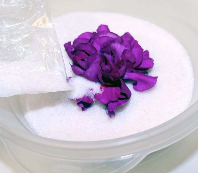 bloemen drogen silicagel bloemen drogen silicagel