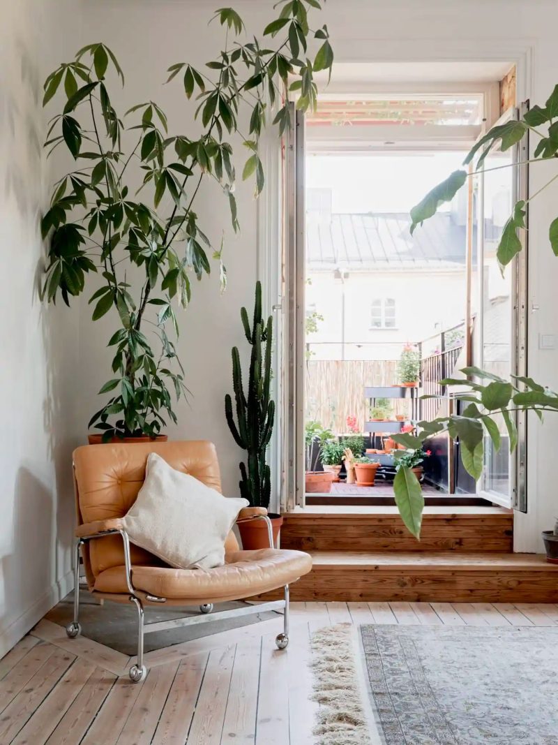 Een grote kamerplant is altijd een goed idee, vooral in een botanisch interieur. Een grote kamerplant is altijd een goed idee, vooral in een botanisch interieur.