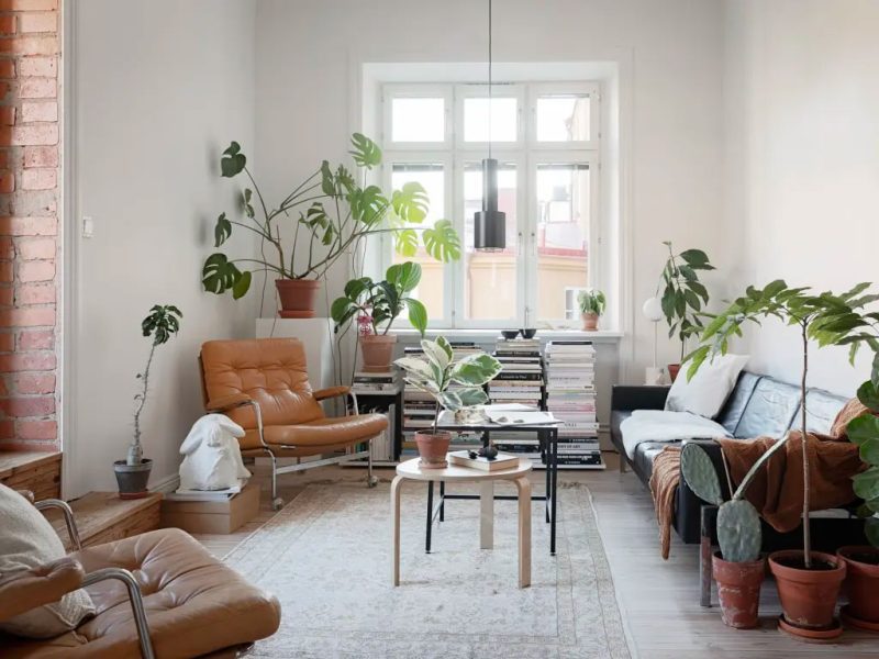 Een budgetvriendelijk ingericht botanisch vintage interieur, waarbij planten op de meest creatieve manieren een plekje hebben gekregen in deze woonkamer. Een budgetvriendelijk ingericht botanisch vintage interieur, waarbij planten op de meest creatieve manieren een plekje hebben gekregen in deze woonkamer.