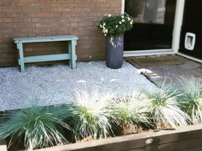 budgetvriendelijk voortuin ontwerp budgetvriendelijk voortuin ontwerp