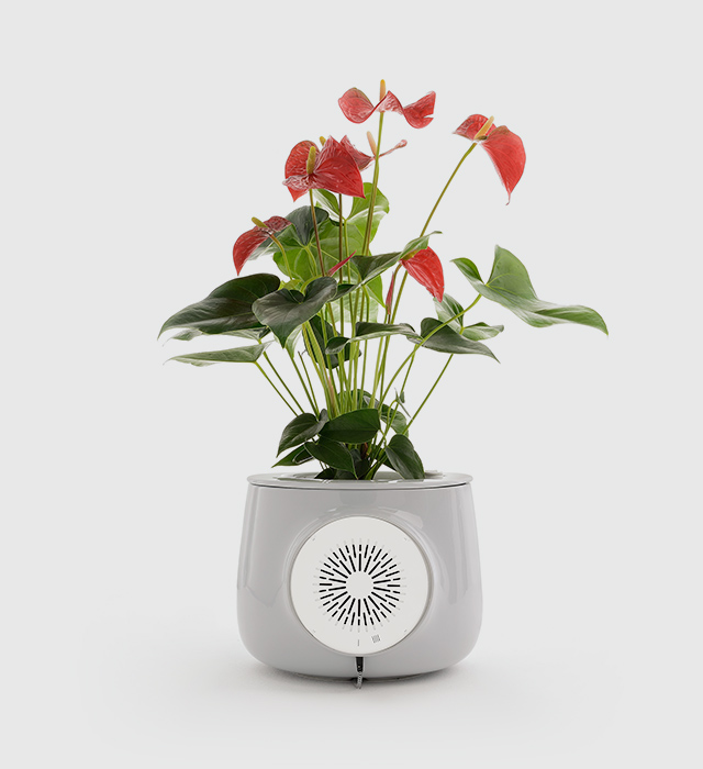 Clairy - een luchtzuiverende plantenpot Clairy - een luchtzuiverende plantenpot