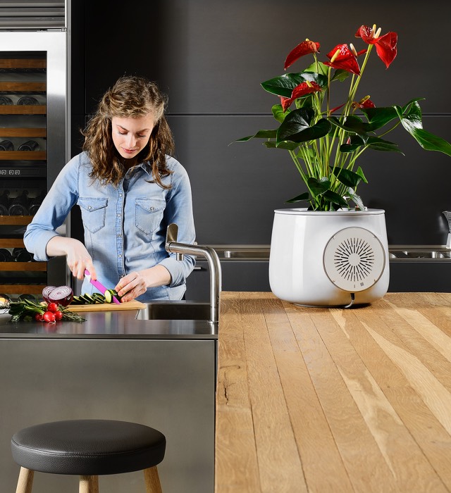 Clairy - een luchtzuiverende plantenpot Clairy - een luchtzuiverende plantenpot