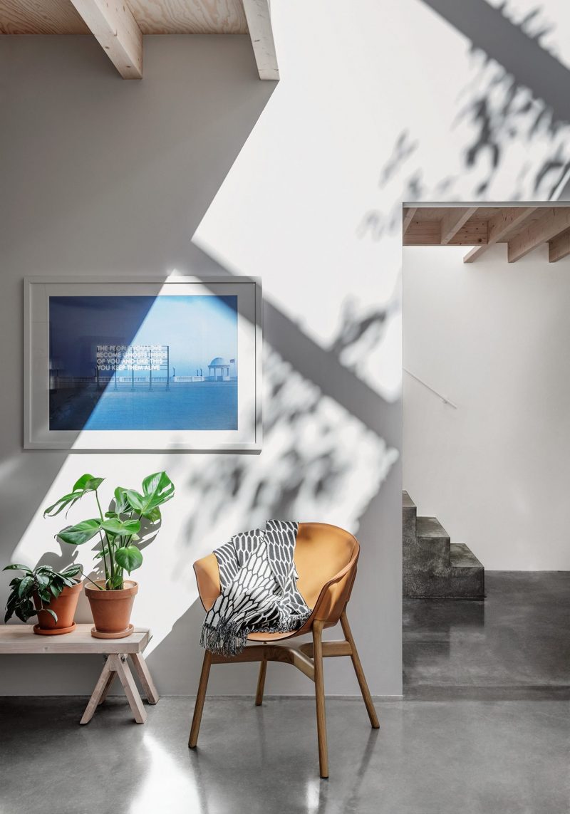 Leuke planten op een houten bankje Leuke planten op een houten bankje