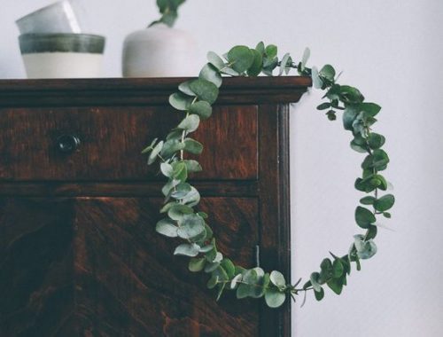 DIY kerstkrans met Eucalyptus