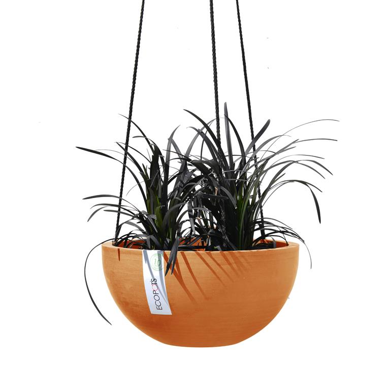Terracotta hangplant