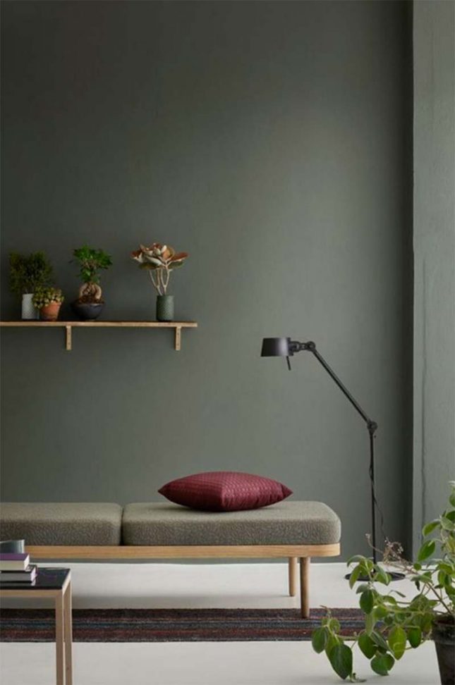 herfstkleuren groene muur herfstkleuren groene muur