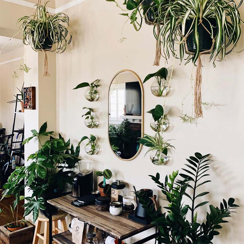 koffiecorner met heel veel planten