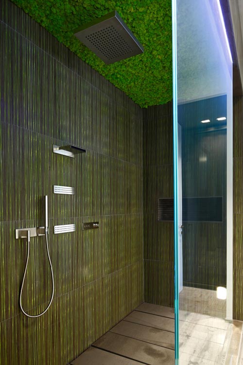 Luxe inloopdouche met een groen plafond