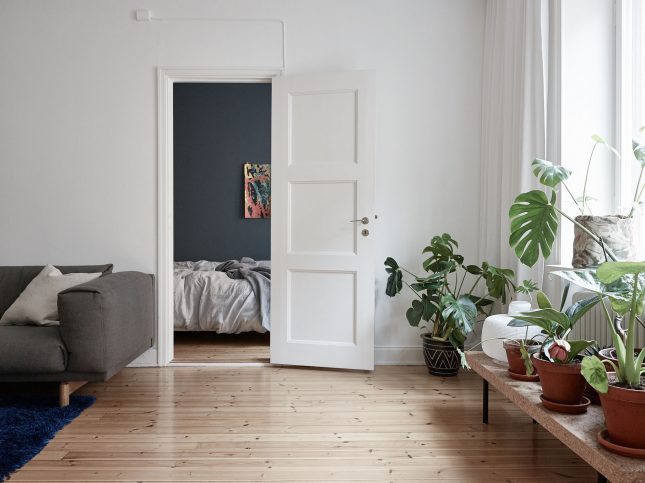 Mooi gerenoveerd klein hoekappartement van 49m2 Mooi gerenoveerd klein hoekappartement van 49m2