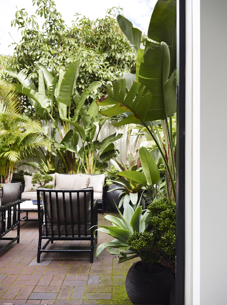 Keuken toegang tot mooie tuin Keuken toegang tot mooie tuin
