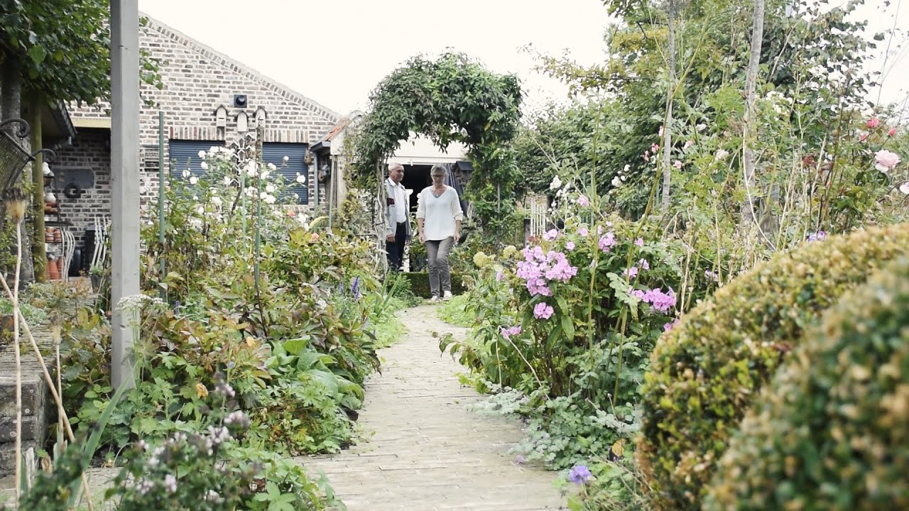 Natuurlijke voortuin Natuurlijke voortuin
