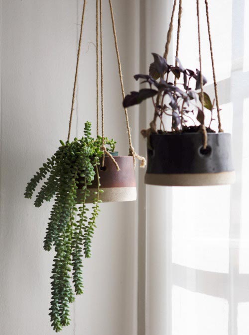 Planten ophangen