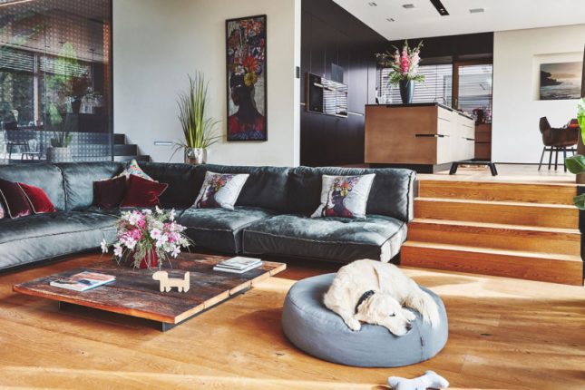 poef woonkamer huisdieren poef woonkamer huisdieren