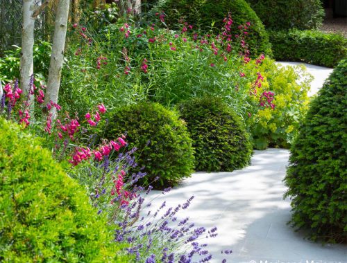 Super mooie romantische tuin, ontworpen door Londen Garden Designer, met een pad met prachtige bloemen en planten in die het pad volgen.