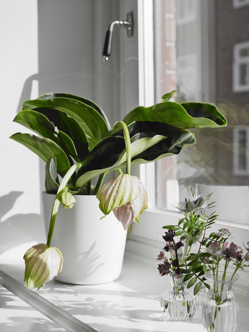 Ruime, lichte woonkamer met half open keuken