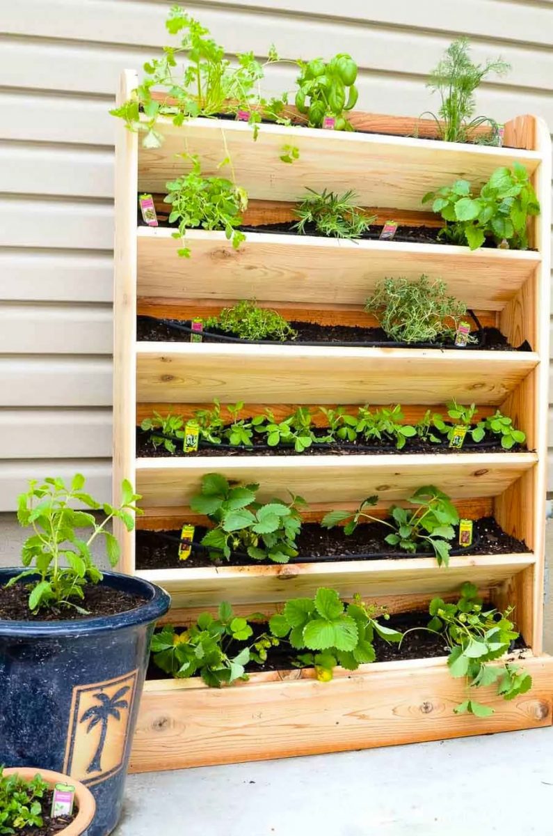 schutting ideeën hoge houten moestuin schutting ideeën hoge houten moestuin