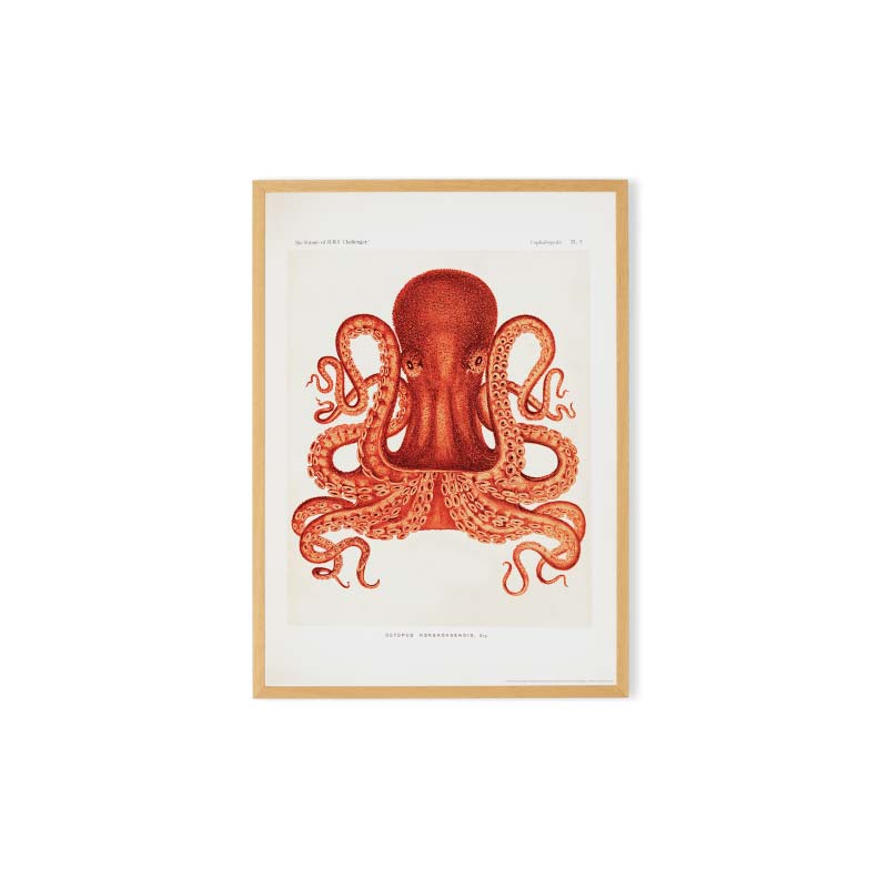 terracotta poster