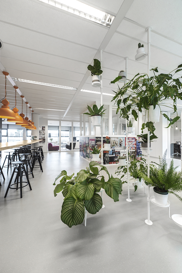 ticketmaster kantoor planten ticketmaster kantoor planten