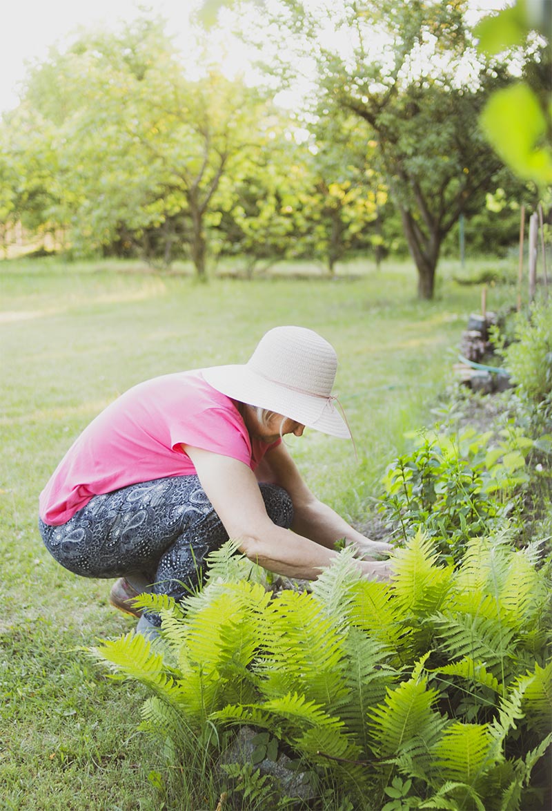 vier tips om je tuin te onderhouden