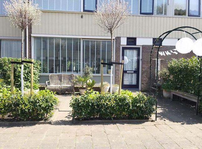 voortuin ontwerp groene voortuin voortuin ontwerp groene voortuin