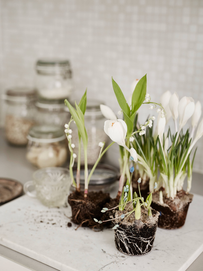 Woonkamer met zachte lente kleuren