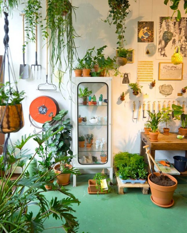 Woonwinkels Amsterdam de Wildernis